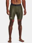 Pánské kraťasy Under Armour