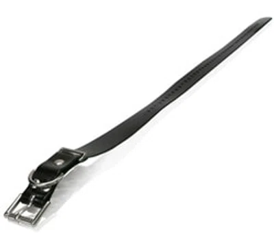 Obojek Dogtra 2,5 cm - Modrá