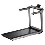 WalkingPad X218