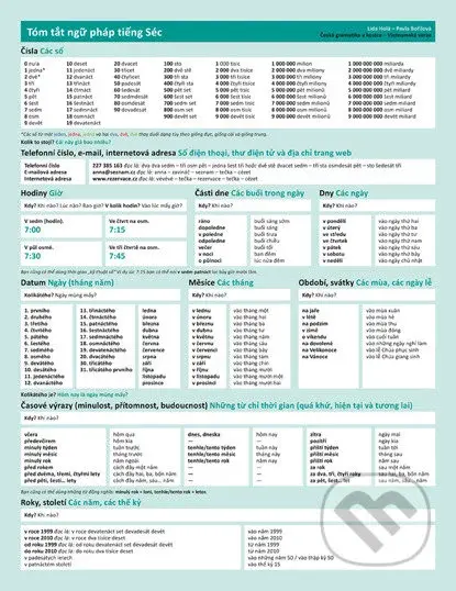 Česká gramatika v kostce - vietnamská verze - Pavla Bořilová, Lída Holá