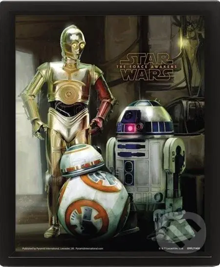 Obraz 3D Star Wars Droids