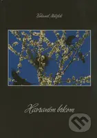 Havraním brkom - Bohumil Motejlek - kniha z kategorie Beletrie