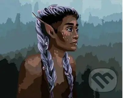 Malování podle čísel: Elfka (40 x 50 cm)