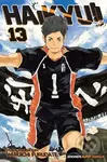 Haikyu!! 13 - Haruichi Furudate - kniha z kategorie Komiksy