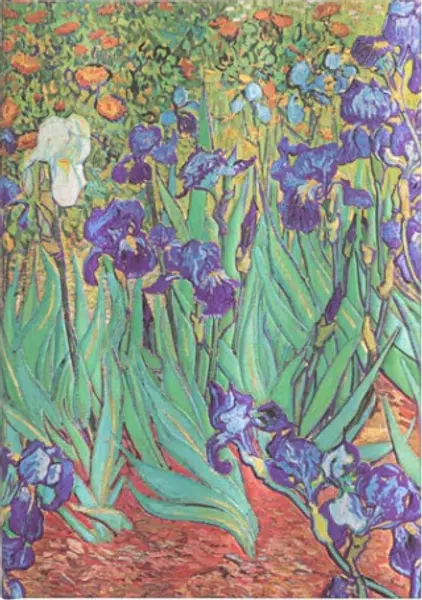 Zápisník Paperblanks - Van Gogh’s Irises - Midi linkovaný