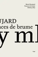 Odstíny mlhy - Marcel Beaujard - e-kniha