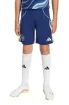 adidas Performance Detské krátke nohavice adidas Performance AJAX