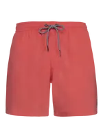 Men's beach shorts Protest DAVEY