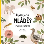 Čípak je to mládě? - Radka Píro, Carmen Saldana (ilustrátor) - kniha z kategorie Naučné knihy