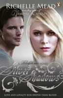Bloodlines: Silver Shadows (book 5) - Richelle Mead