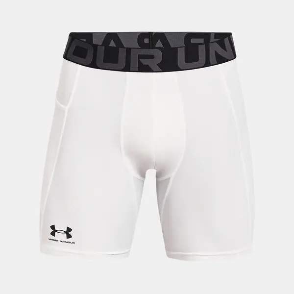 Pánské kraťasy Under Armour