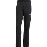 adidas TERREX LITEFLEX HIKING Pánské kalhoty, černá, velikost