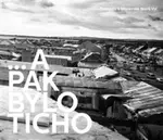 ... a pak bylo ticho (Defekt) - Marek Šalanda, Klára Kubíčková, Iva Tereza Grosskopfová, Radek Bartoníček, Lenka Kašparová, Marek Šálek