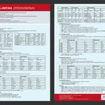 Přehledová tabulka učiva – zájmena