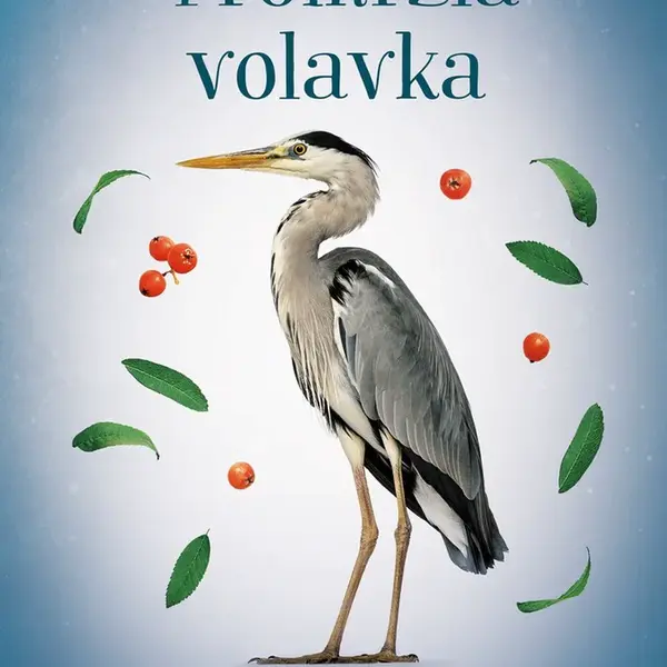 Promrzlá volavka (9. díl)