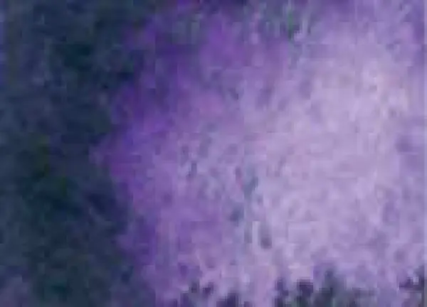 Akvarelová barva DS 5ml – 203 Amethyst Genuine