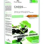 Flora Natura Černý rybíz BIO 20x15 ml