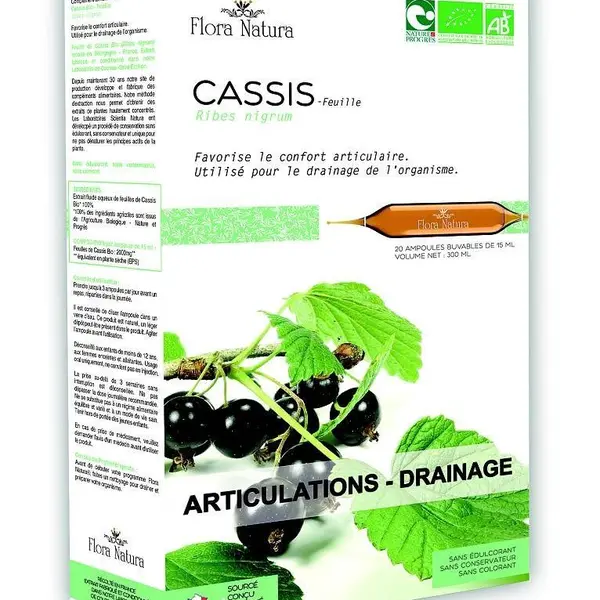 Flora Natura Černý rybíz BIO 20x15 ml