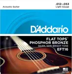 D'Addario EFT16