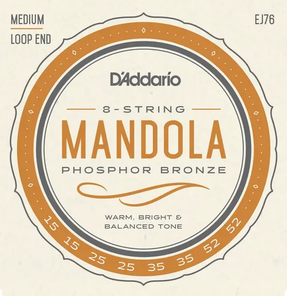 D'Addario EJ76