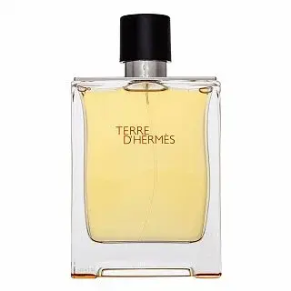 Hermès Terre D'Hermes toaletní voda pro muže 200 ml