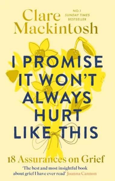 I Promise It Won't Always Hurt Like This - Clare Mackintosh