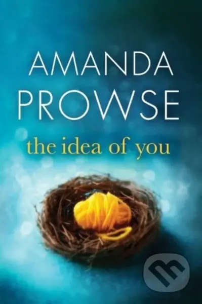 The Idea of You - Amanda Prowse - kniha z kategorie Společenská beletrie