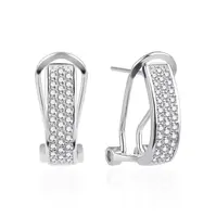 Agato Stříbrné visací náušnice se zirkony AGT-E026KKW