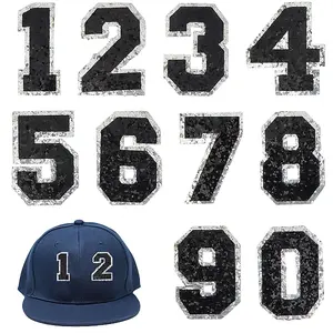 10Pcs Glitter Iron on/Sew On Patches