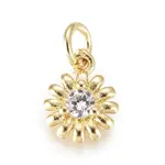 Brass Micro Pave Cubic Zirconia Charms