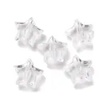 Transparent Acrylic Beads