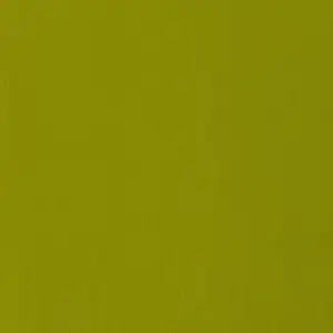 Akrylová barva Basics 118ml – 218 light olive green