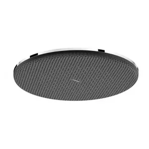 Hansgrohe Raindance Alive S hlavová sprcha na strop alebo na stenu chróm 24523000