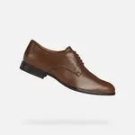 Brown men's formal shoes Geox Iacopo - Men's