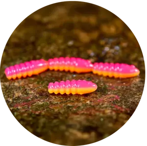 Redbass gumová nástraha trout grub tutti frutti uv color - 3x33 mm