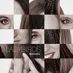 Ladybirds – Šachovnice