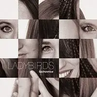 Ladybirds – Šachovnice