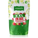 Organis Lyo Mix XXL sušené ovoce 90 g