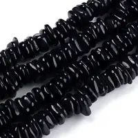 Natural Freshwater Shell Beads Strands