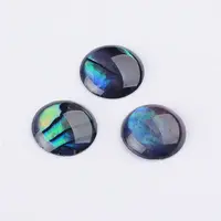 Abalone Shell/Paua Shell Cabochons