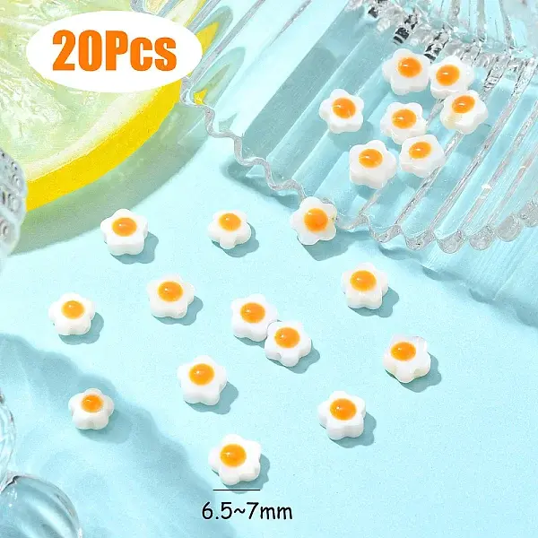 Natural Freshwater Shell Beads