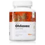 MycoMedica Ohňovec PRO kapsle s harmonizačním účinkem 90 cps