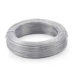 Iron Wires