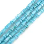 Natural Freshwater Shell Beads Strands