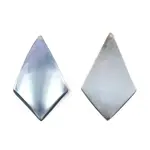 Natural Turbo Cornulus/Top Shells Cabochons