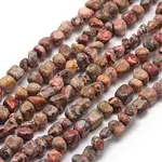 Natural Leopard Skin Jasper Beads Strands