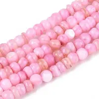 Natural Freshwater Shell Dyed Beads Strands