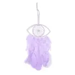 Handmade Eye Woven Net/Web with Feather Wall Hanging Decoration