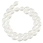 1 Strands Natural Shell Beads Strands