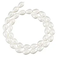 1 Strands Natural Shell Beads Strands